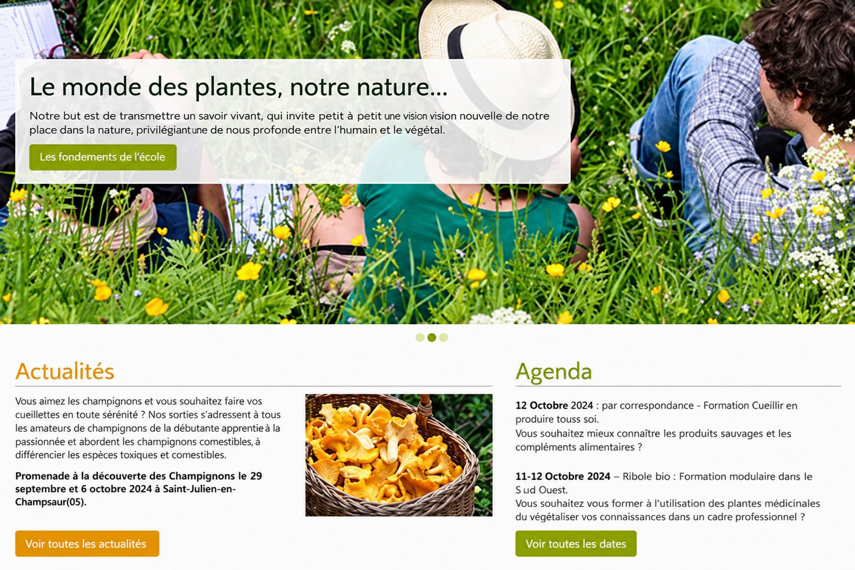 Page d’accueil du site de l’École lyonnaise de plantes médicinales : des promeneurs allongés dans une prairie fleurie, les actualités et l’agenda