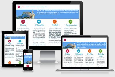 AmaZili concepteurs de site web à Lyon