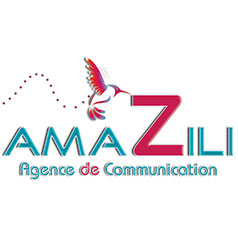 L'ancien logo d'AmaZIli Communication image réaliste, effets de matières