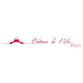 Logo du Château de l'Isle en Gironde : Création du site internet et du blog du chateau, hébergement site web et boites mails, reservation des noms de dmaines