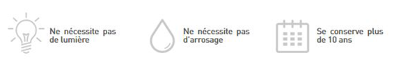 le logo végétal ne nécéssite pas de lumière, pas d'entretien et bénéficie d'une durée de vie de 10 ans
